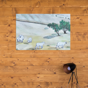 Mountain Sheep - Canvas Print